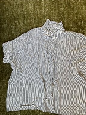 Everlane Navy and White Silk Narrow Stripe Button-Down Shirt